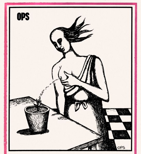 Humor verde 1946-2020 Viñetas eróticas en la prensa española