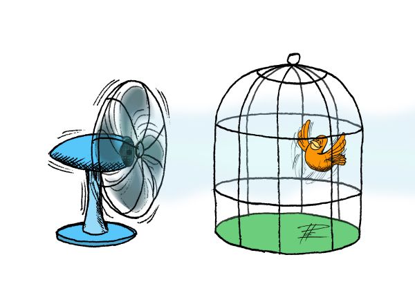 8è Concurs d’humor gràfic Gin. Atents a les seves pantalles