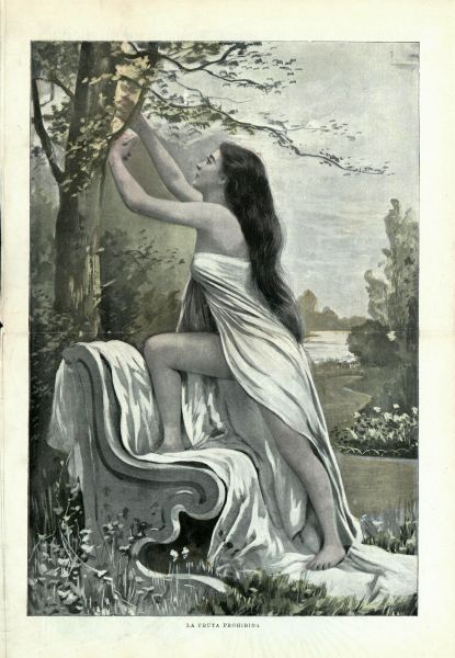 Humor verd 1869-1938 vinyetes eròtiques a la premsa espanyola