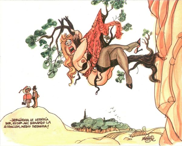 Humor verde 1946-2020 Viñetas eróticas en la prensa española